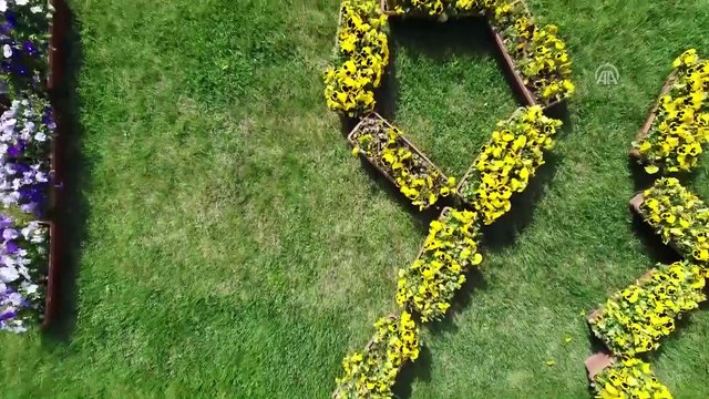 Anadolu Ajansı 98 yaşında - Çiçeklerle 'AA 98. Yıl' yazıldı - GAZİANTEP