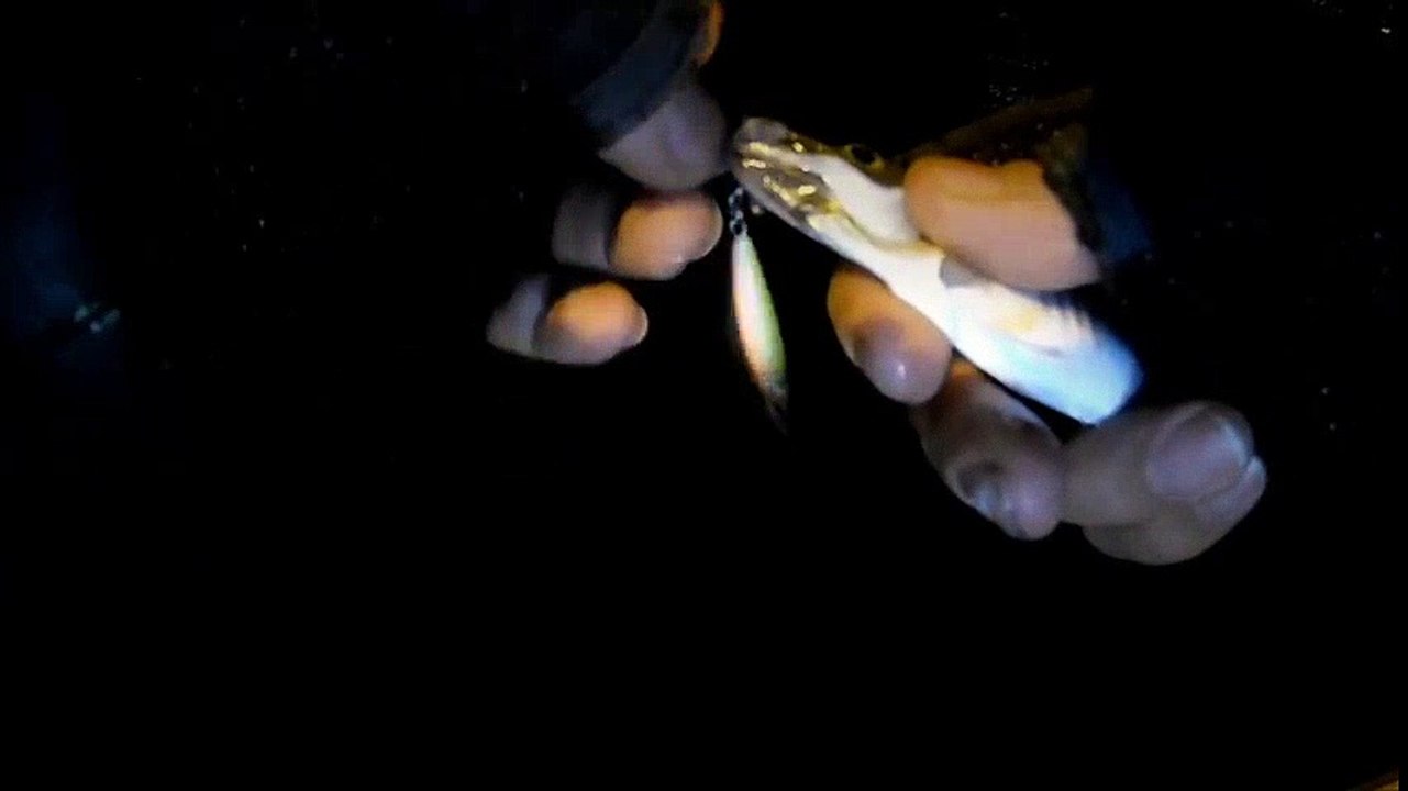 bayb jig balık avi | Kalkan kardeşler jigging videoları