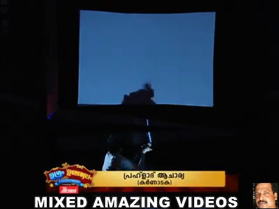 AMAZING SHADOW ARTIST