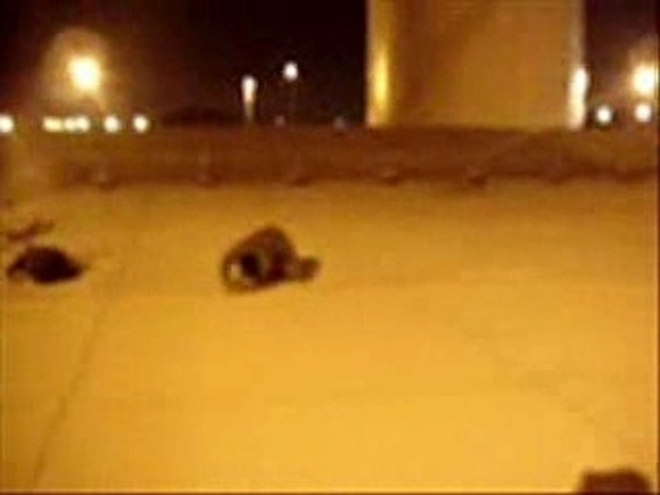 Jackass glisse chaise