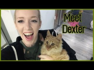 Meet Dexter! & Purina ONE® GiveAway (Kat's Vlogs #6)