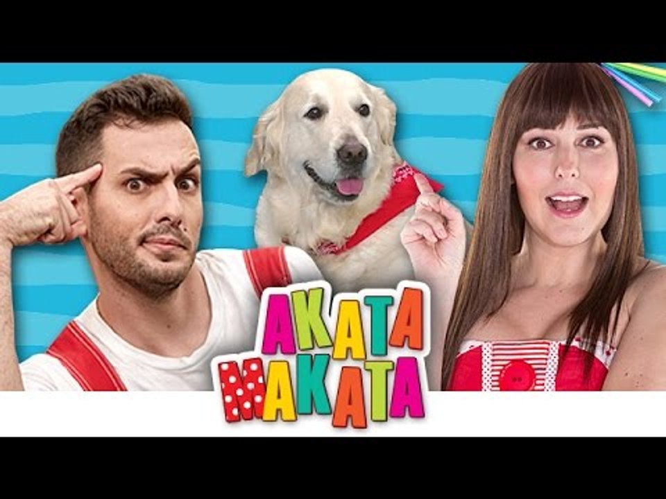 ΑΚΑΤΑ ΜΑΚΑΤΑ με τα Ζωάκια | 5 Επεισόδια Συλλογή...