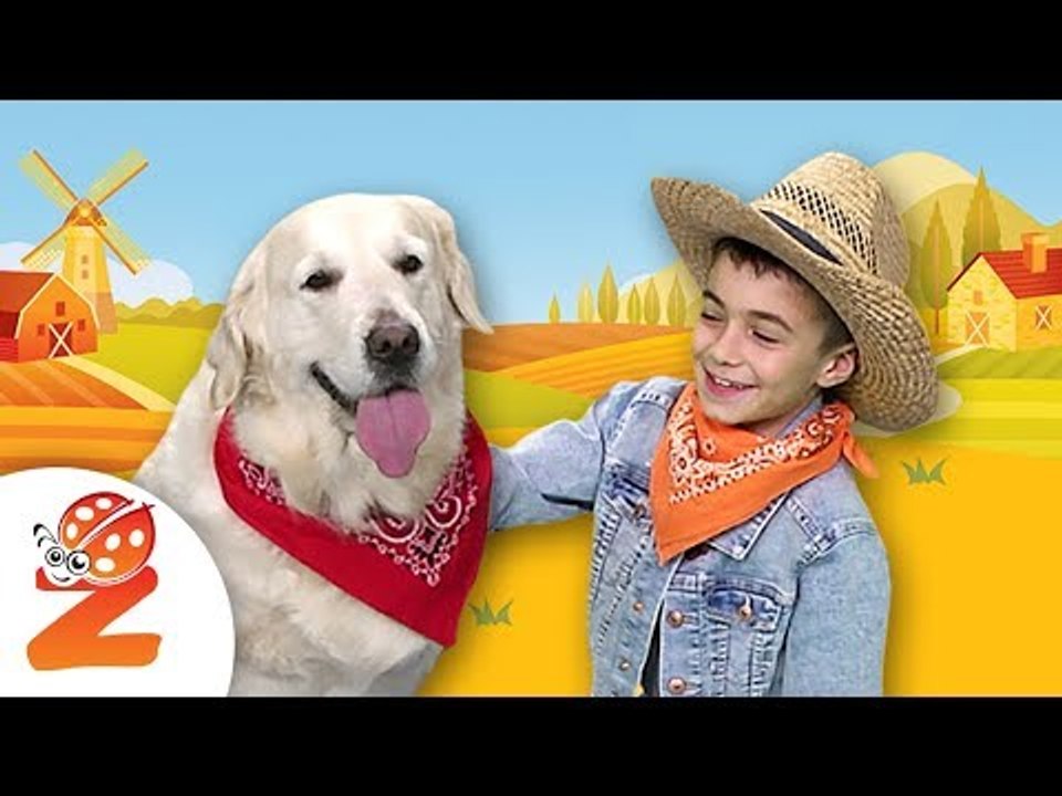 BINGO the Dog | #ZouzouniaTV Nursery Rhymes & Kids Songs