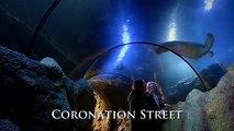 Coronation Street 6th April 2018 Part 2  Coronation Street 6 April 2018  Coronation Street 6 Apr 2018  Coronation Street April 6, 2018  Coronation Street 6-4-2018