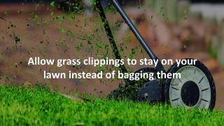 8 Secrets To Keep Your Lawn Always Green And Healthy