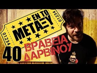 Ponzi | Εντωμεταξύ (Βραβεία Δαρβίνου)