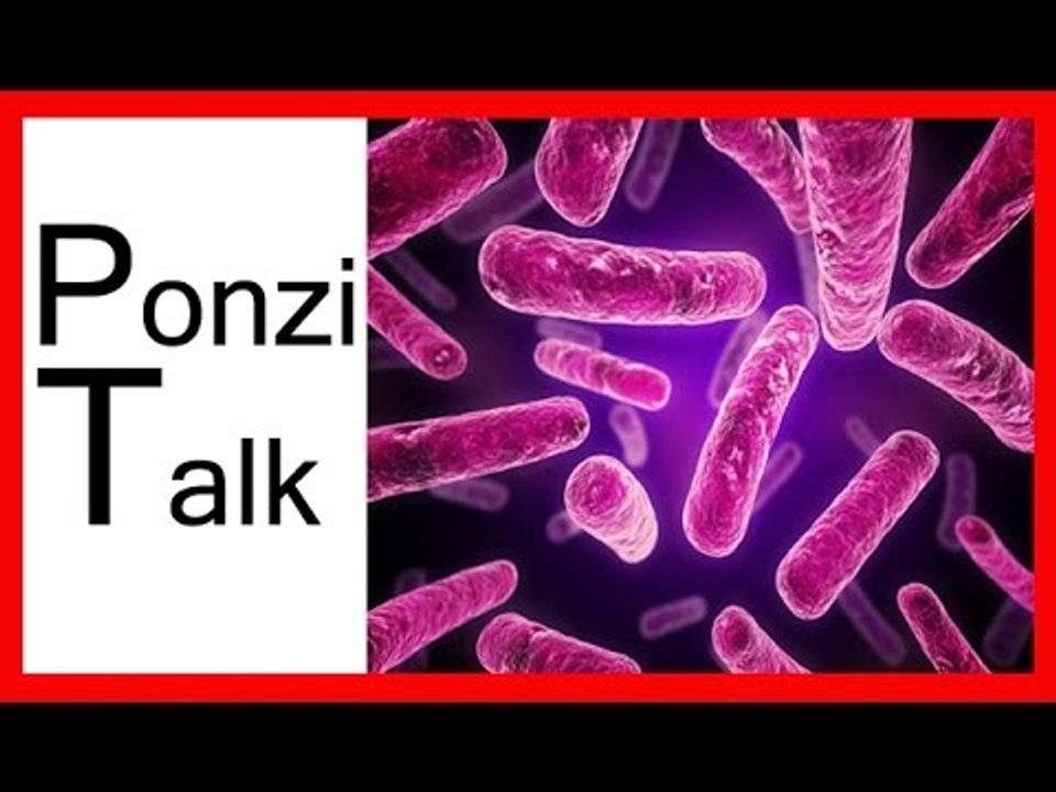 Ponzi Talk | Τα ζωάκια μέσα μας