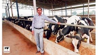 Kamdhenu Dairy Yojna for Entrepreneurs : कामधेनु डेयरी योजना - दुधारू पशुओं की ब्याजमुक्त ऋण योजना