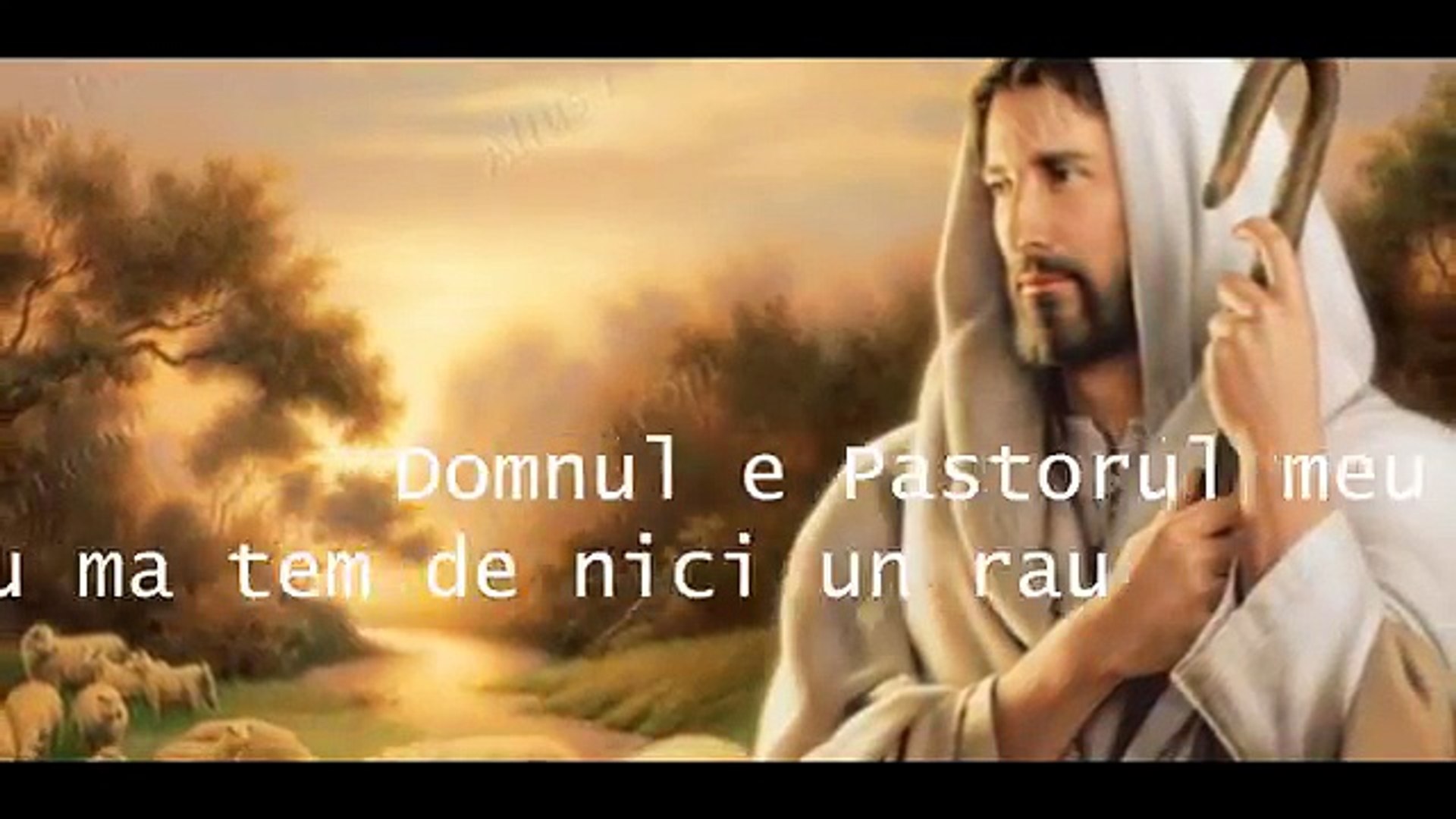 sorin de la barbulesti psalmul 20