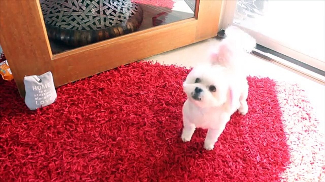 WEEKEND MORNING ROUTINE