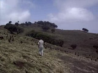 Mousse et Declo Ethiopie (Babouins Gelada  montagne du Simen