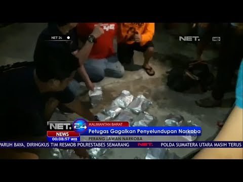 Petugas Gagalkan Penyelundupan Narkoba Di Kalimantan Barat NET24