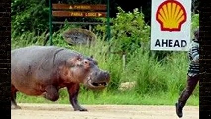 People Having The Worst Day Ever - Reion!