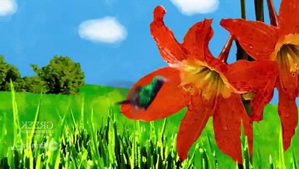 The Secret Life of the American Teenager S01E09 Slice of Life