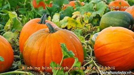 Bị những bệnh này chỉ cần ăn bí đỏ là khỏi