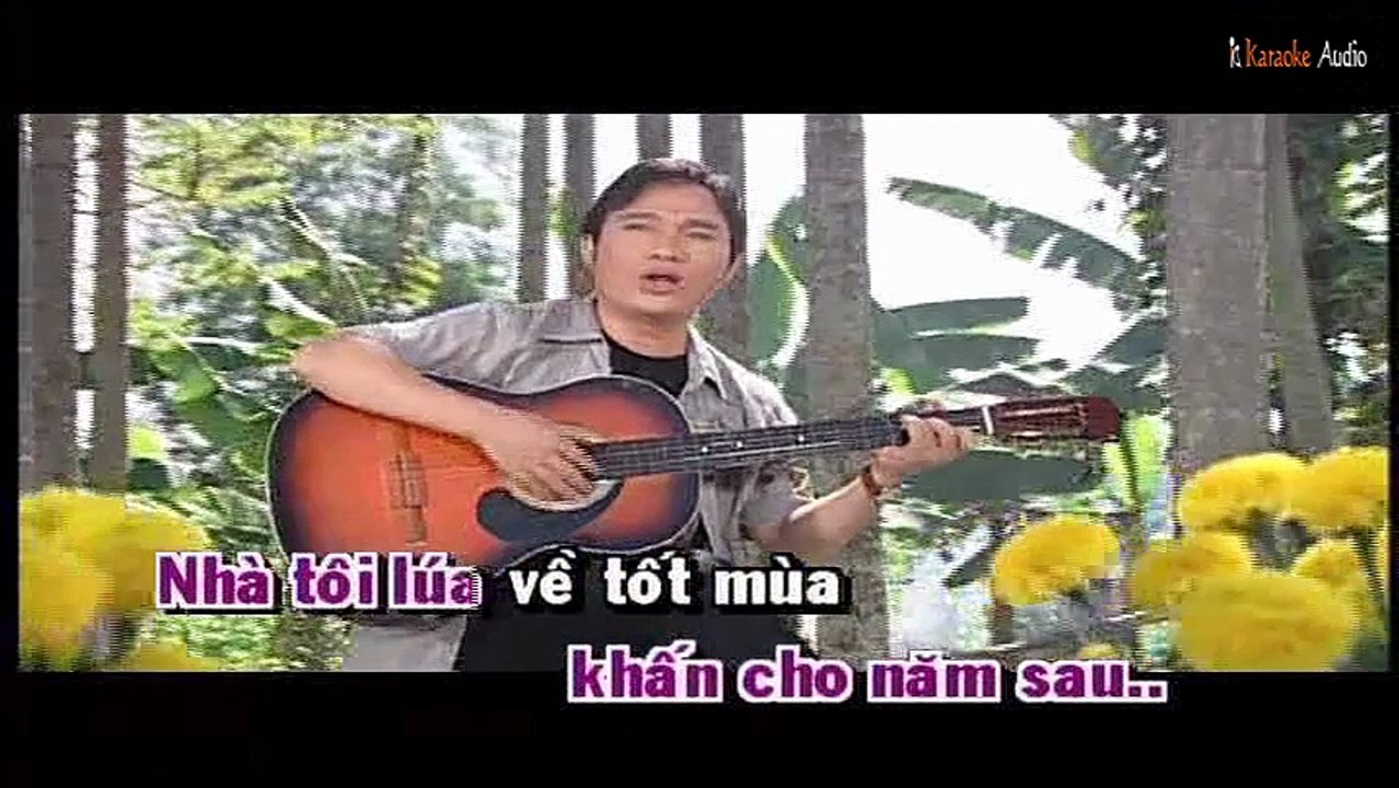 Bông Vạn Thọ - Quang Linh