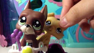 LPS- Heart Breaker episodio #1 (Un nuevo amor) *CANCELADO*