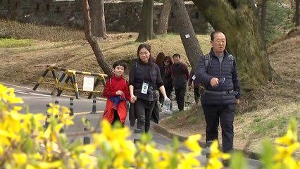 [날씨] 꽃샘추위 계속...남산 걷기대회 마무리 / YTN