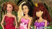 Cendrillon Conte de Fées Le Mariage Histoires de Poupées Barbie