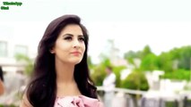 Desi Desi Na Bolya Kar  Vicky Kajla & Raju Punjabi  Latest Punjabi 2017  WhatsApp Status Video