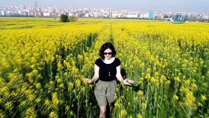 Üniversitenin kanola tarlası fotoğraf stüdyosu gibi
