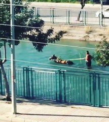 Adana'da Sıradan Bir Gün! Su Kanalında At Arabasıyla Gezintiye Çıktılar