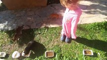 Bahçemizde onlarca kedicik hepsi birbirinden güzel , eğlenceli çocuk videosu