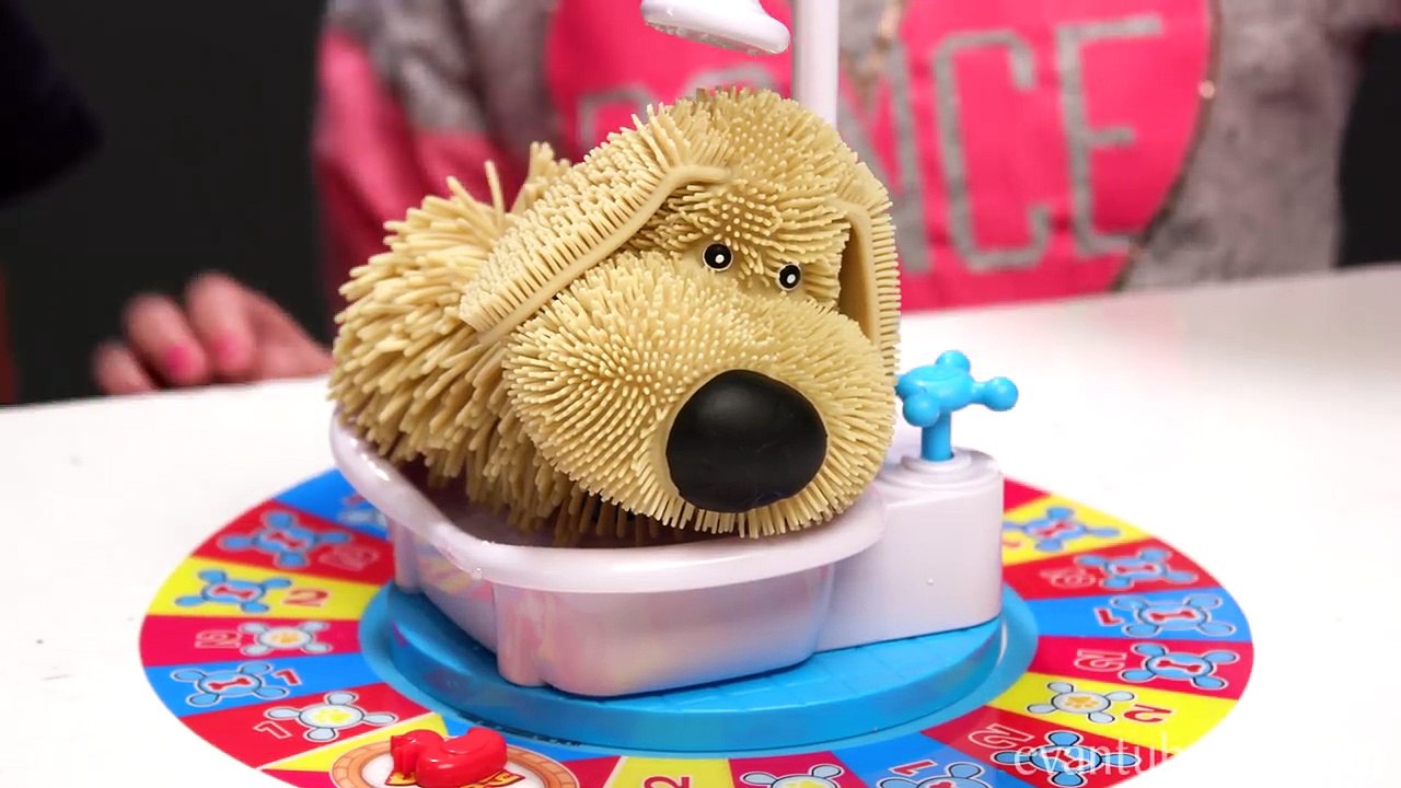 SOGGY DOGGY GAME CHALLENGE IN REAL LIFE!!! Loser Gives Chloe a Bath!