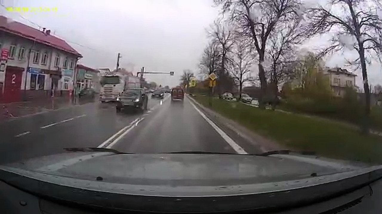 The smart dog crossing the road