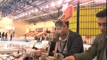 Robotlar Gebze'de Yarışıyor:  Uluslararası Kelebek Robot Olimpiyatları Başladı