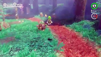 カカシにファイアーボールで燃やしてみると、、、【スーパーマリオオデッセイ】