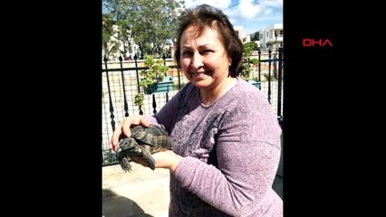 Muğla Çöpe Atılan Kaplumbağayı, Sanatçı ve Eşinin Dikkati Kurtardı