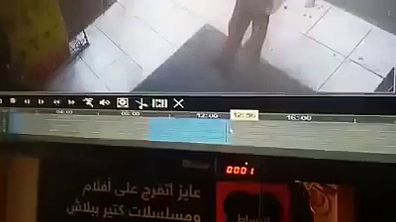 قطه تقتل رجل فى مصر