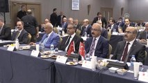 11. Kalkınma Planı Akdeniz Bölgesi İstişare Toplantısı - Kalkınma Bakanı Elvan
