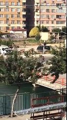 Adana'da sıcak bir günde atı gezdirmek