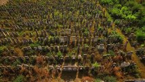 Jewish Cemeteries of Moldavia & Bukovina - בתי קברות בבוקובינה ומולדובה