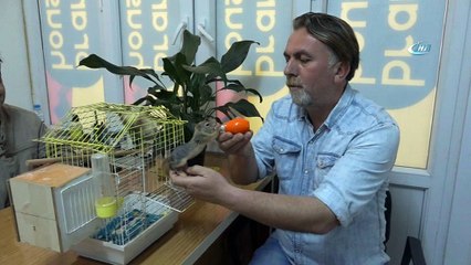Kütükten çıkan yavru sincapları evladı gibi besliyor