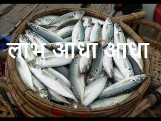 लाभ आधा आधा: फायदे का सही तरीका