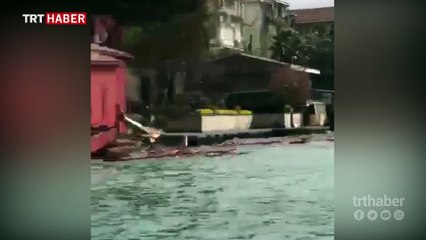 İstanbul Boğazı'nda bir gemi tarihi yalıya çarptı
