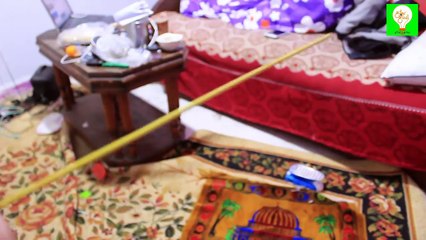 وداعا للذباب والناموس نهائيا لو معاك جنيه واحد بس !!