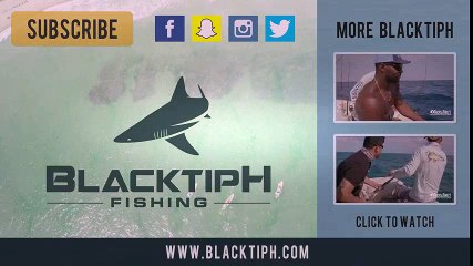 4K Bronx Masalı yelkenbalığı, Mahi ve Jacks -  | Kalkan kardeşler jigging videoları