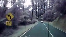 When a whole forest begins to fall on the road