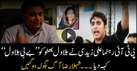 Shehla Raza angered by Ali Zaidi's 'Baby Bilawal' remarks