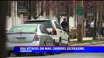 Dog Attacks Against Mail Carriers in Pennsylvania Decreases by 40 Percent