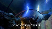Coronation Street 6th April 2018 Part 2 -- Coronation Street 6 April 2018 -- Coronation Street 6 Apr 2018 -- Coronation Street March 6, 2018 -- Coronation Street 6-4-2018