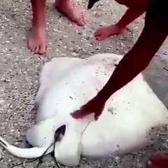 Çoğul Gebelik Ankara - Tecrübeli ve Güvenli Eller - Op.Dr. İrfan Tarhan