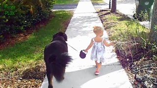 Funny Babies Walking Dogs Compilation (2018)