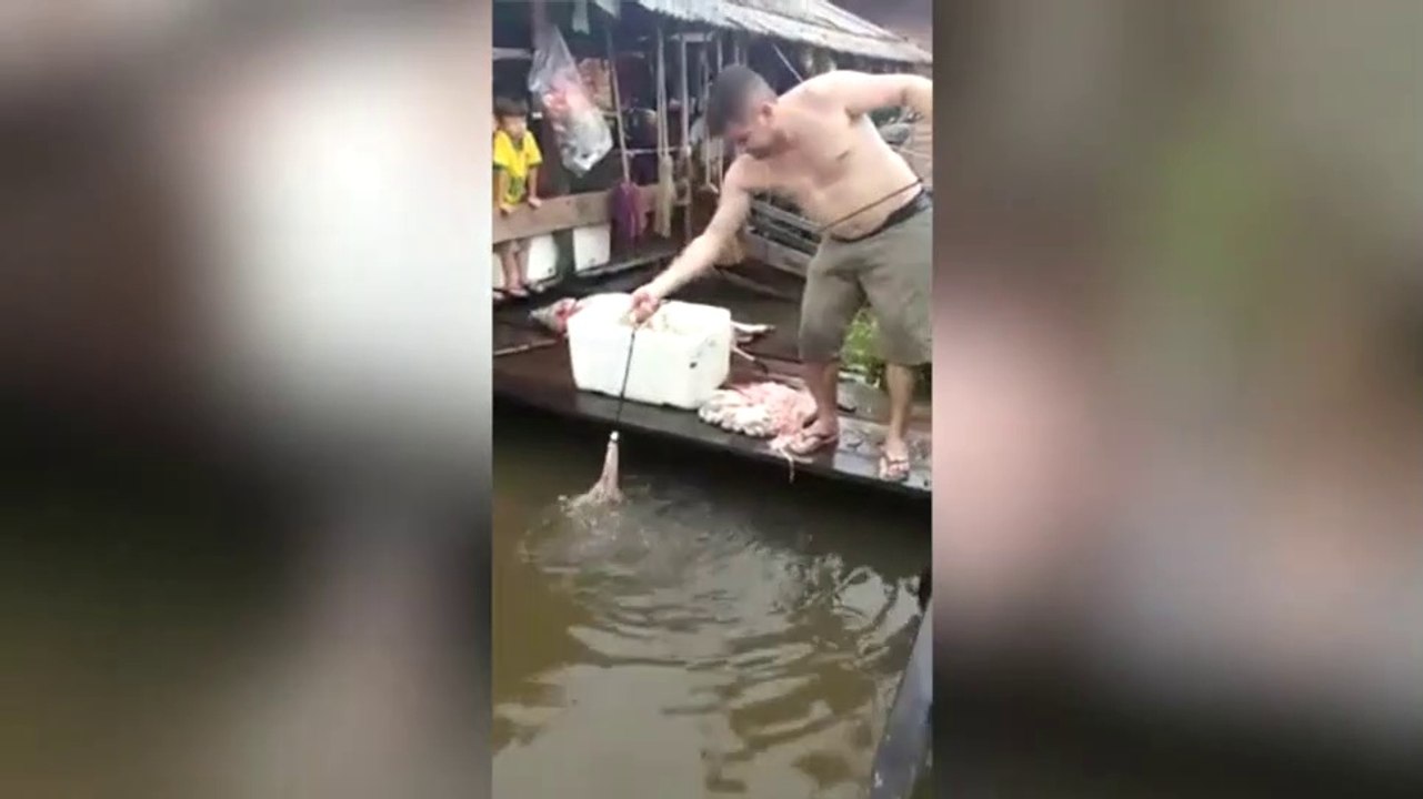 Voilà comment on pêche des piranhas