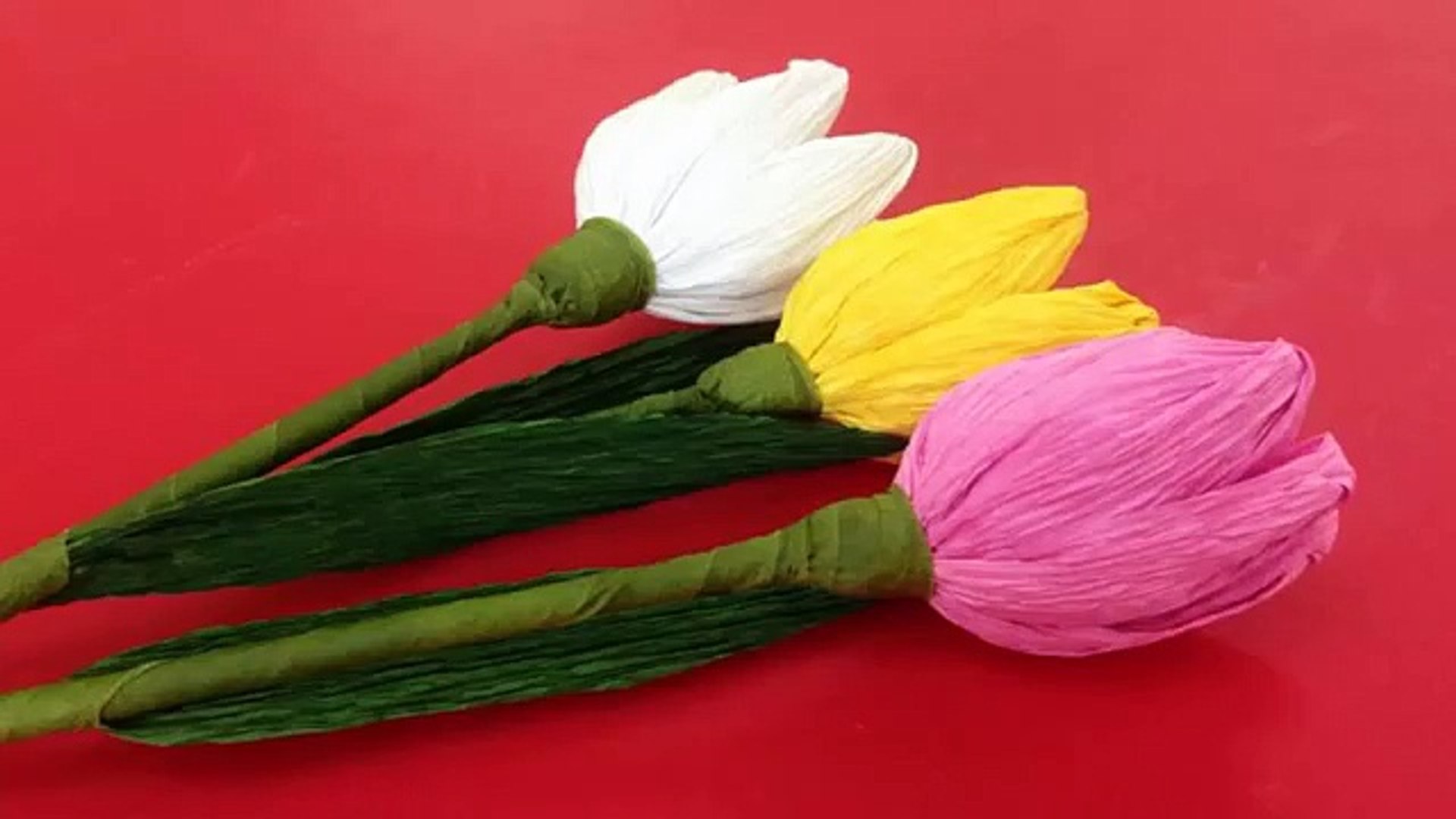 How to Make Tulip Crepe Paper Flowers - Flower Making of Crepe Paper - Paper  Flower Tutorial─影片 Dailymotion