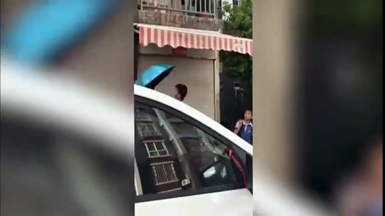 şemsiyeyle kedi kurtaran çinli çocuklar